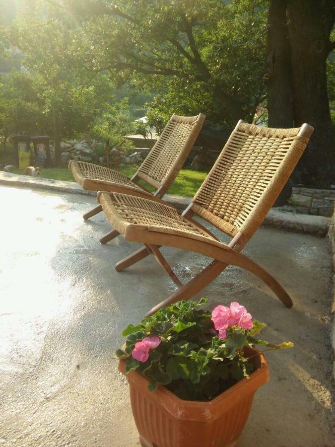 Holiday Homes Mirjana มอชเชนิชกา ดรากา ภายนอก รูปภาพ